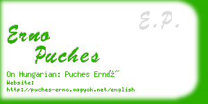 erno puches business card